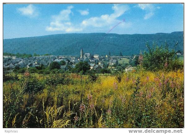 HERBEUMONT SUR SEMOIS : Panorama - Editions De Mario - Yvoir - Courrier De 1974 - Herbeumont