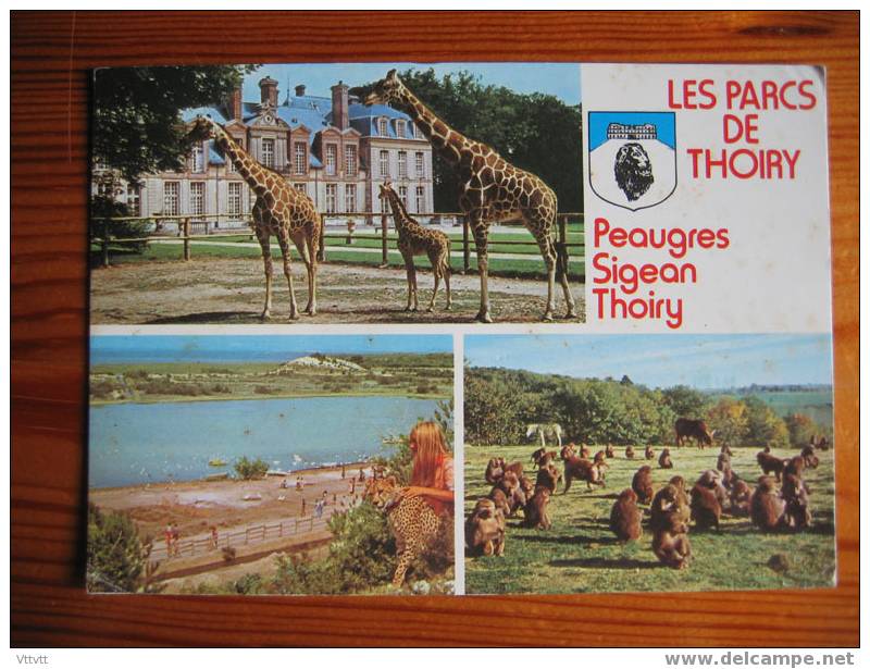 Thoiry : Les Parcs De Thoiry, Sigean, Peaugres (girafes ,singes, Panthere) - Thoiry