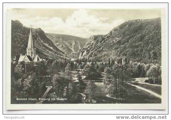 D 2699 - Bodetal (Harz). Eingang Ins Bodetal - S/w Foto Ak, 1929 Gelaufen - Oberharz