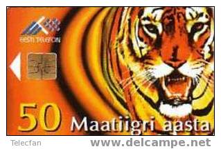 ESTONIE SUPERBE TIGRE TIGER RARE - Jungle