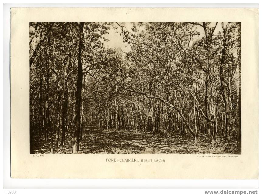 "FORET-CLAIRIERE" (HAUT-LAOS). REPRO PHOTO DES ANNEES 1935 . - Other & Unclassified