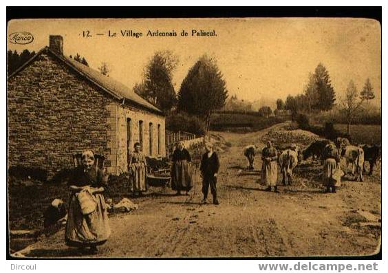 3052 - Le Village Ardennais De Paliseul - Paliseul