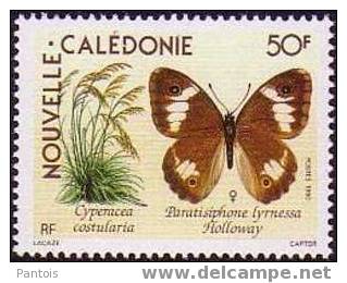 Nouvelle-Calédonie  N° 590 ** - Unused Stamps