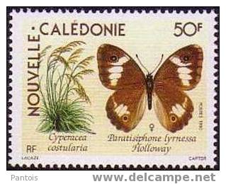 Nouvelle-Calédonie  N° 590 ** - Nuevos