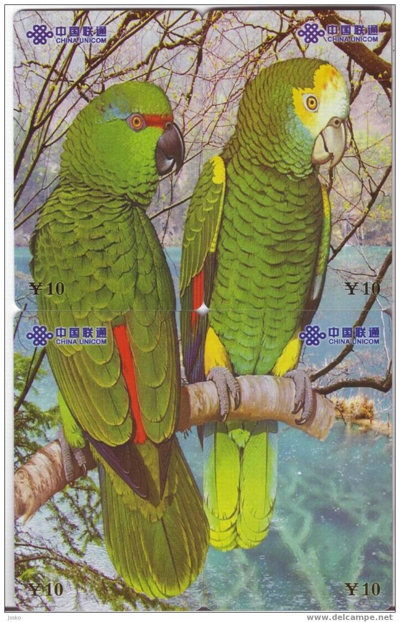 PARROT Nice Chinese PUZZLE SET OF 4. CARDS With Parrots * Perroquet Papagei Pappagallo Loro Ara Papagaio Bird Oiseau - Loros