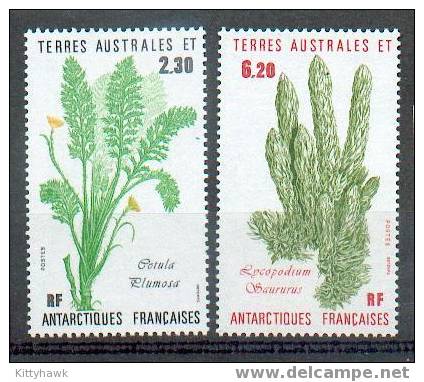 TAAF 30 - YT 118/119 ** - Unused Stamps