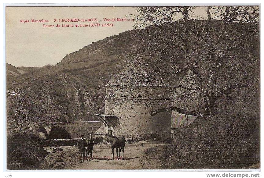 ST. LEONARD DES BOIS: BELLE VUE ANIMEE SUR LA FERME DE LINTHE ET FUIE - Saint Leonard Des Bois