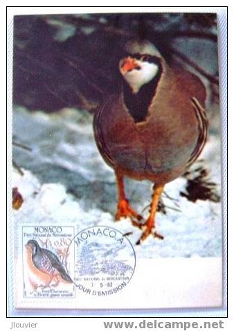 Carte Maximum - Monaco - Faune. Oiseaux Du Parc National Du Mercantour - Perdrix-bartavelle. - Maximum Cards