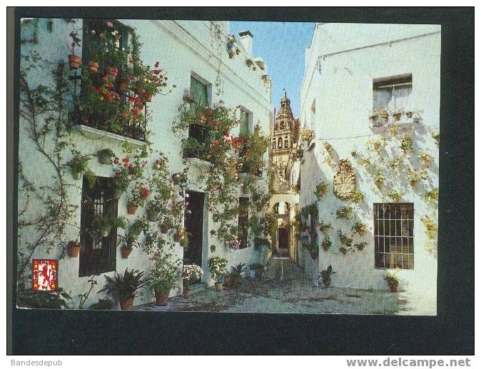 Cordoba - Calleja Y Plaza De Las Flores ( Ruelle Et Place Des Fleurs) (A. Subirats Casanova) - Córdoba