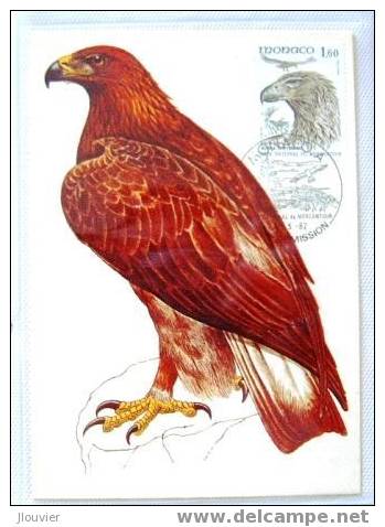 Carte Maximum - Monaco - Faune. Oiseaux Du Parc National Du Mercantour - Aigle Royal. - Maximum Cards