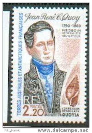 TAAF 39 - YT 151/152 ** - Unused Stamps
