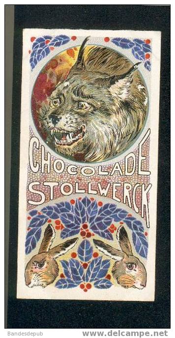 Stollwerck Cacao Belle Chromo Art Nouveau Le Lynx  Lapins Beau Graphisme ! - Stollwerck