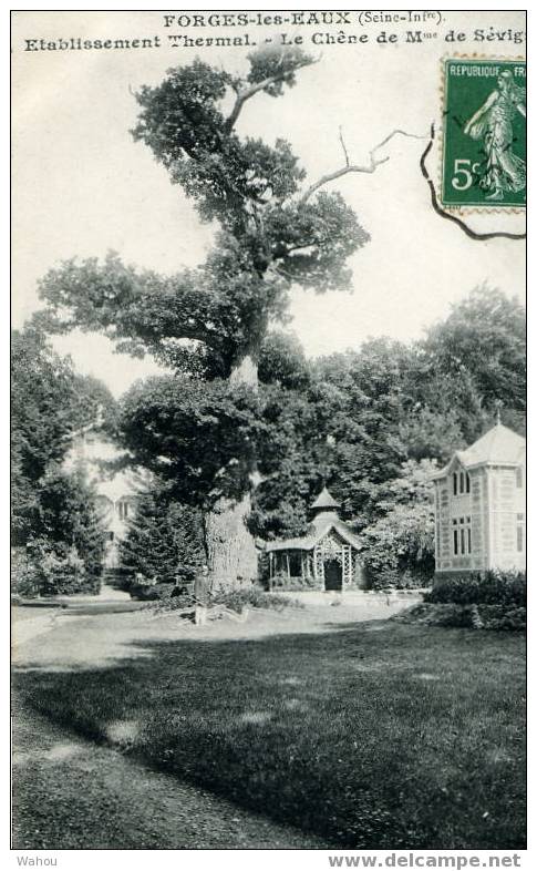 FORGES-les-EAUX  (Seine-Inf.)  -  Etablissement Thermal   -  Le Chêne De Mme De Sévigné  (Carte Ayant Voyagé En 1908) - Forges Les Eaux