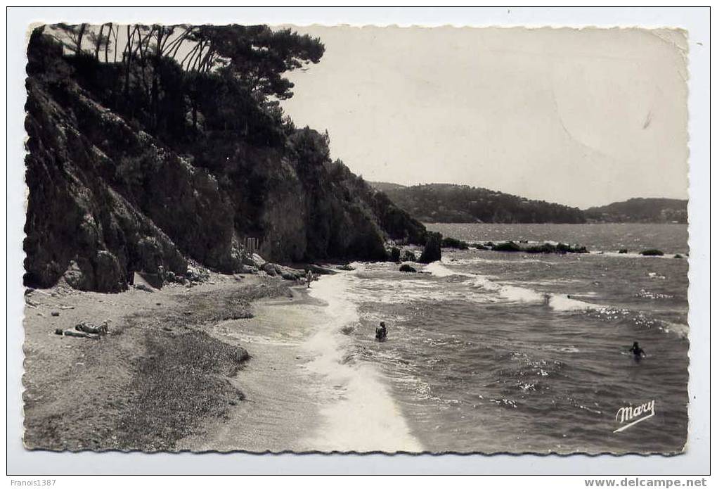 Réf 131  - LE PRADET - Plage Des BONNETTES (1962) - Le Pradet