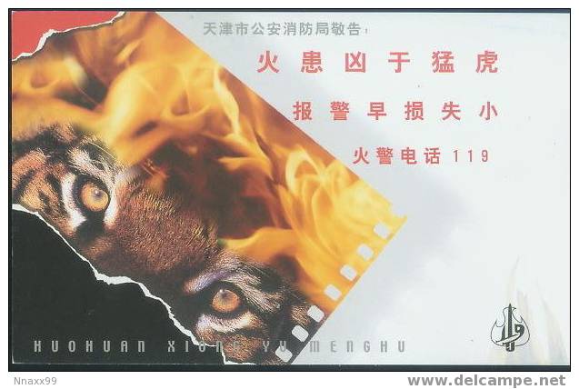 Fire - Fire Likes Tiger! If You Want To Report A Fire, Please Call For 119!!! - Catastrophes