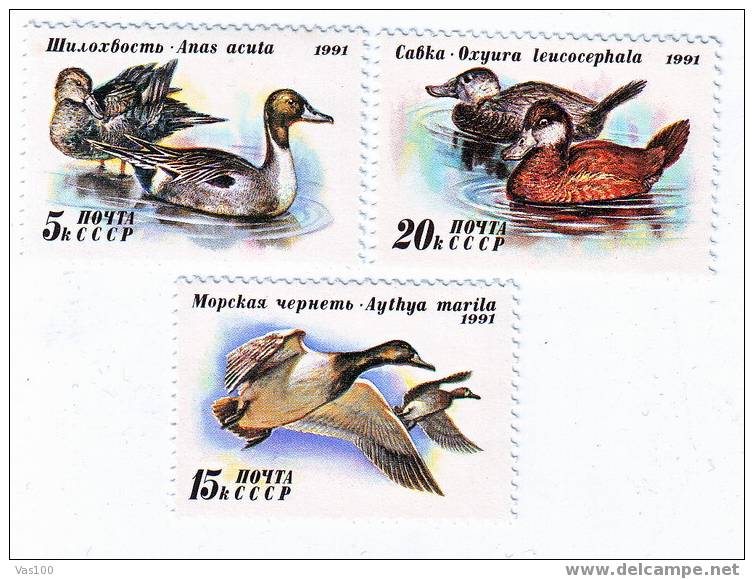 RUSSIA  1991  BIRDS    FULL SET. - Noordelijk Leger
