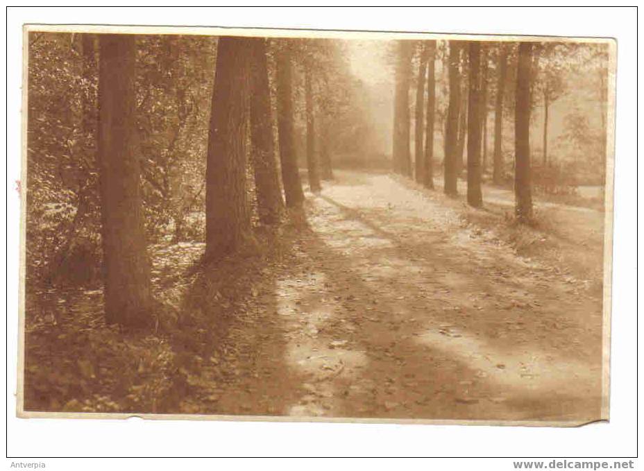 Oudergem Drève Rouge Cloitre (vrai Photo) 14 Op 9,5 - Auderghem - Oudergem