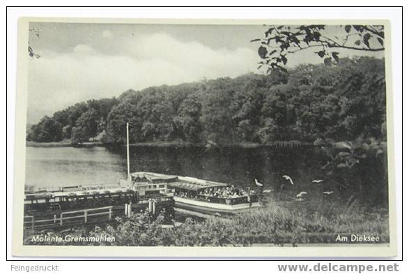 D 2843 - (Ostholstein) - Malente-Gremsmühlen. Am Dieksee - S/w Foto Ak - Malente-Gremsmuehlen