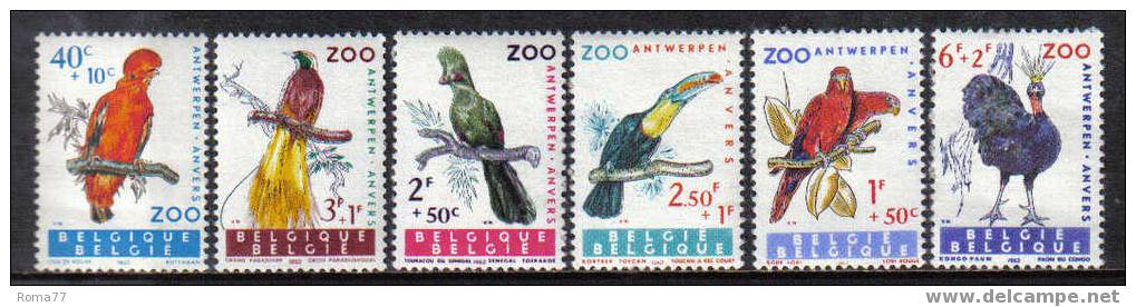 D95 - BELGIO ,  SERIE N. 1216/21  *** - Perroquets & Tropicaux