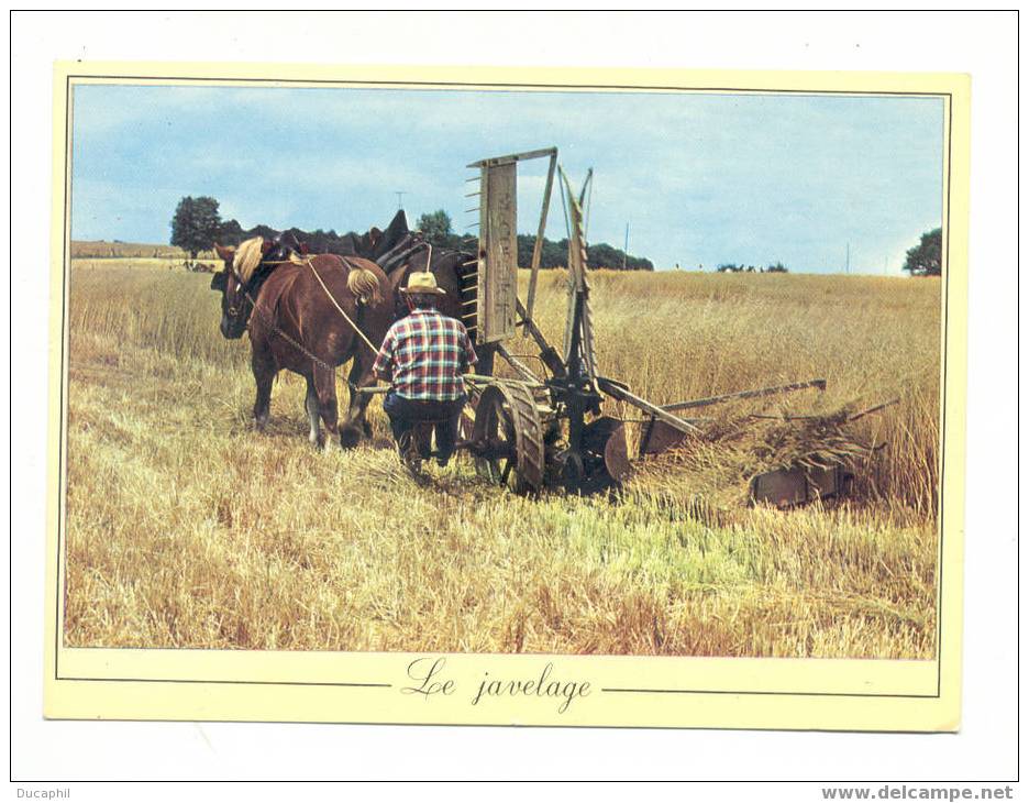 LE JAVELAGE LES METIERS D ANTAN ( YONNE) - Attelages