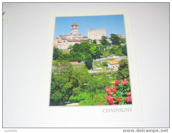(209) -1- Une Carte Postale Sur Chauvigny - Chauvigny