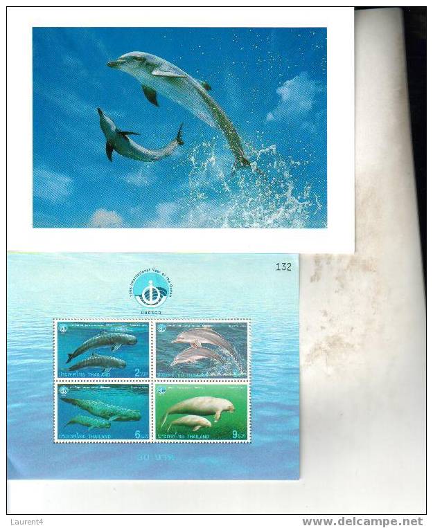 9 Carte De Dauphin, Balaine Et Orca + Timbre - 9 Dolphin - Orca - Whale Card + Stamp - Dolfijnen