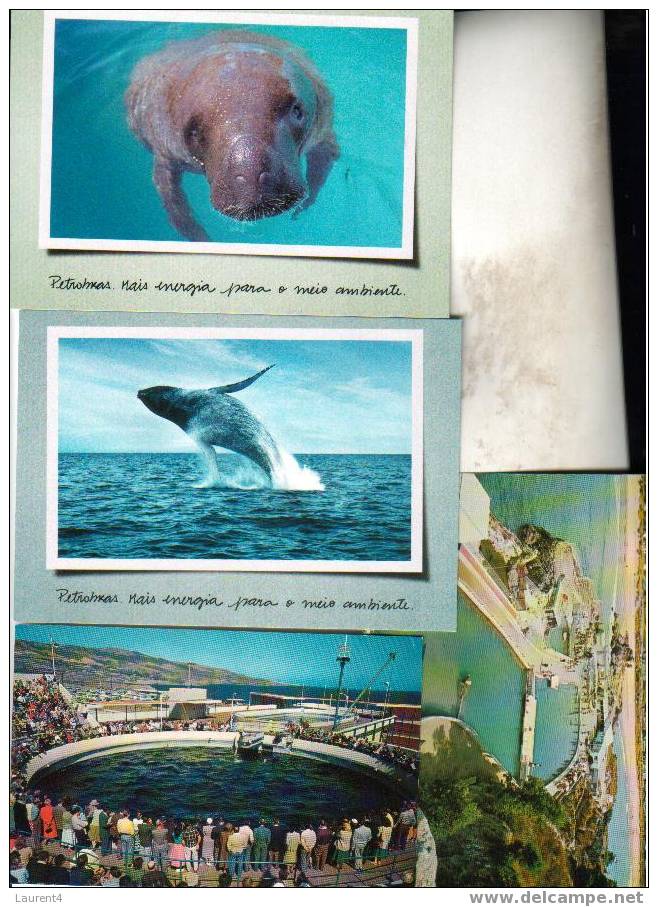 9 Carte De Dauphin, Balaine Et Orca + Timbre - 9 Dolphin - Orca - Whale Card + Stamp - Dauphins