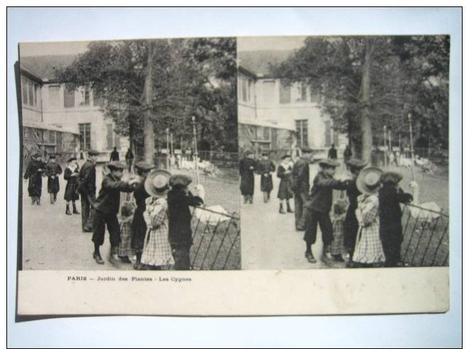 PARIS   JARDIN DES PLANTES   ENFANTS  Carte Stéréoscopique - Cartes Stéréoscopiques