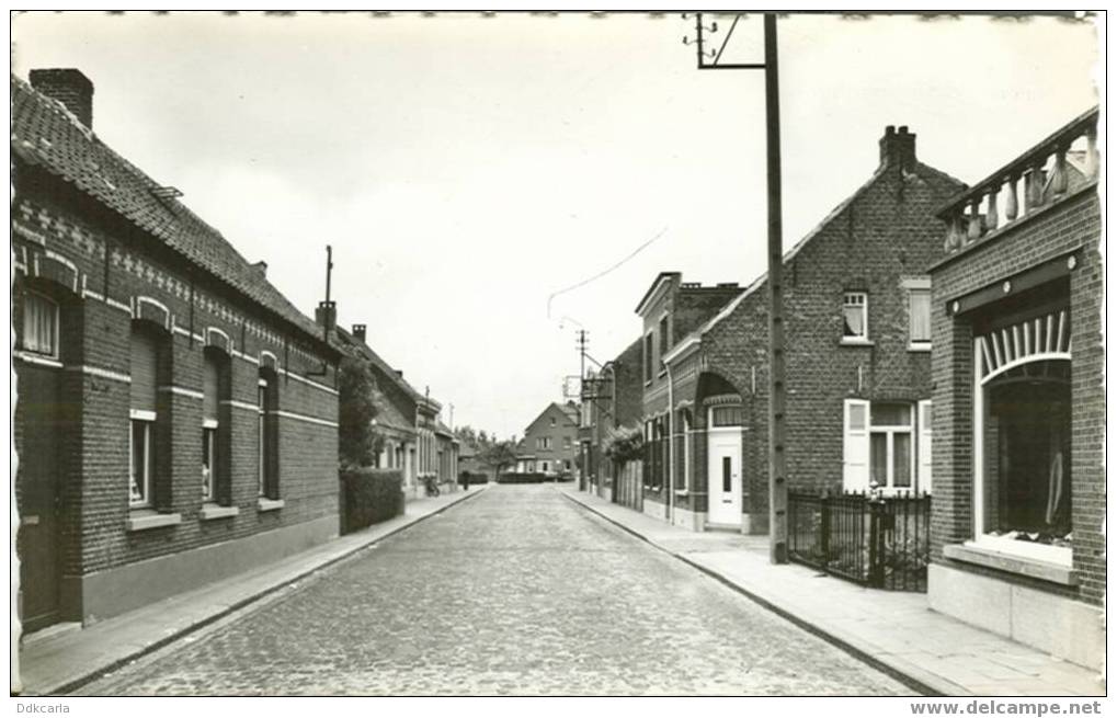 Nijlen - Woeringenstraat - Nijlen