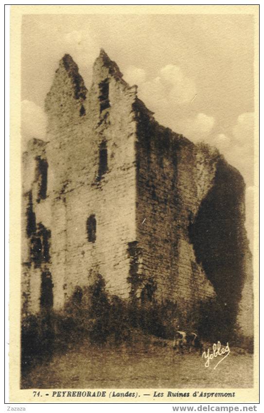 74 Peyrehorade Ruines Du Chateau D'Aspremont - Peyrehorade