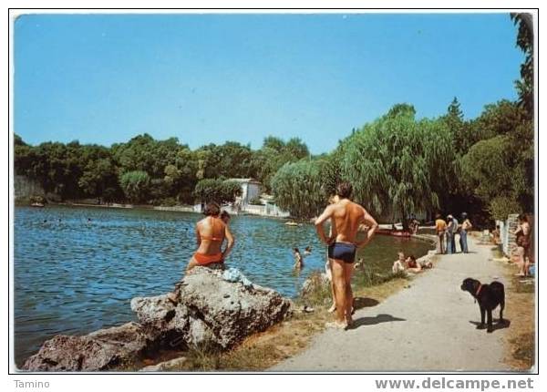 Besse-sur-Issole Le Lac La Promenade - Besse-sur-Issole