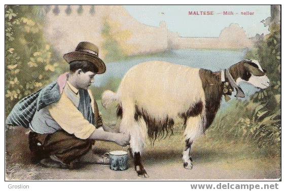 MALTESE MILK SELLER - Malte