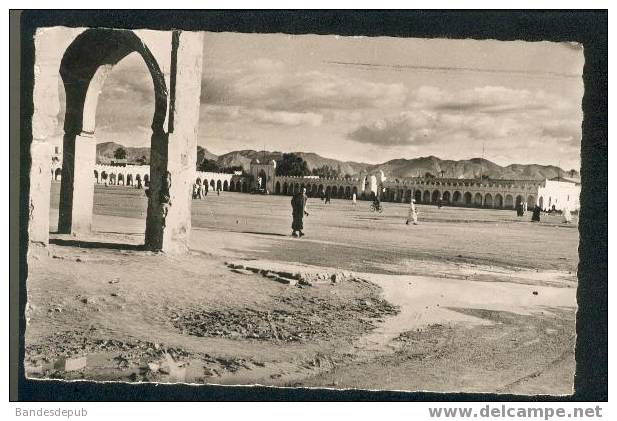 CPSM - Colomb Bechar - Place Luteaud (Ed. Delayance) - Bechar (Colomb Béchar)