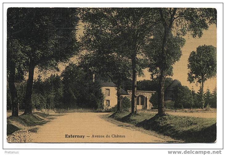 *** MARNE . ESTERNAY / AVENUE DU CHATEAU *** - Esternay