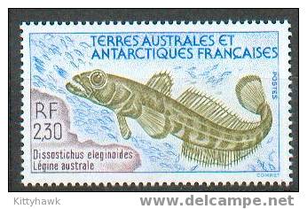 TAAF 96 - YT   166 ** - Unused Stamps