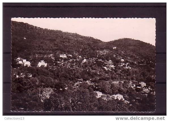 VAR - Le Rayol - Vue D'ensemble - Rayol-Canadel-sur-Mer