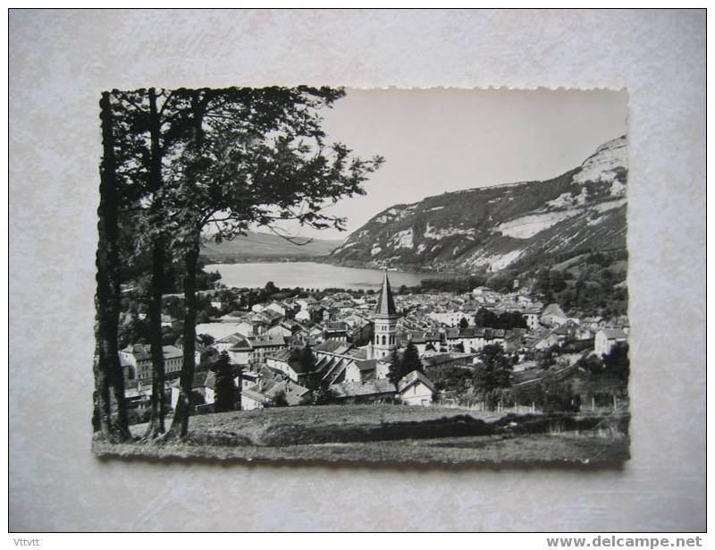 Nantua: Station Estivale. Vue Générale Et Le Lac (non Circulée), Edt. Michaux Et Fils. Dentelée. - Nantua