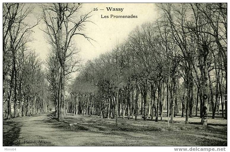 D.52. WASSY.- LES  PROMENADES. - Wassy