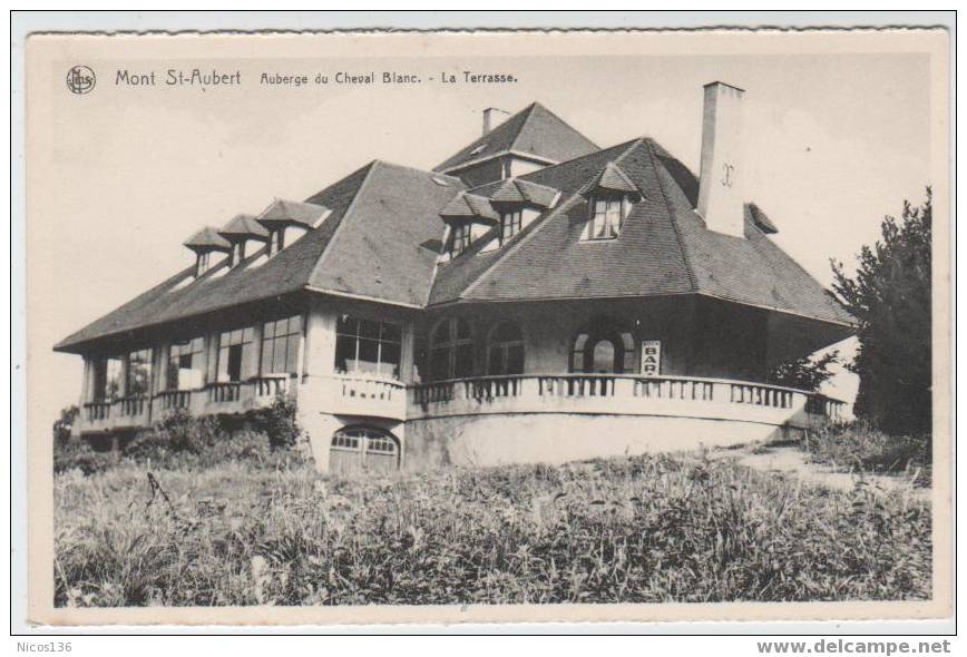 MONT ST. AUBERT  AUBERGE DU CHEVAL BLANC  LA TERRASSE    C424 - Autres & Non Classés