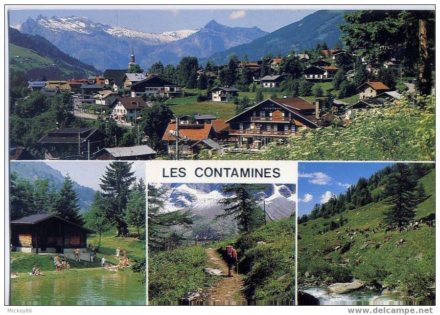 Les Contamines-Montjoie---Vues Diverses  ,cm  Par éd André - Contamine-sur-Arve