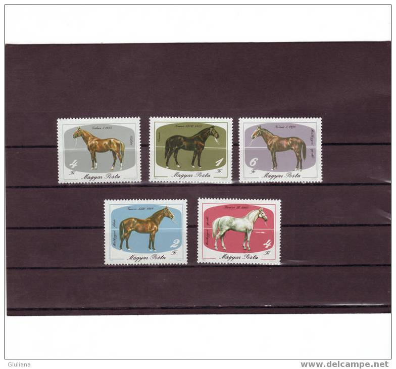 UNGHERIA - . Serie N. 2988/92**,Yvert, Bicentenario Allevamento Di Mezohegyes - Paardensport