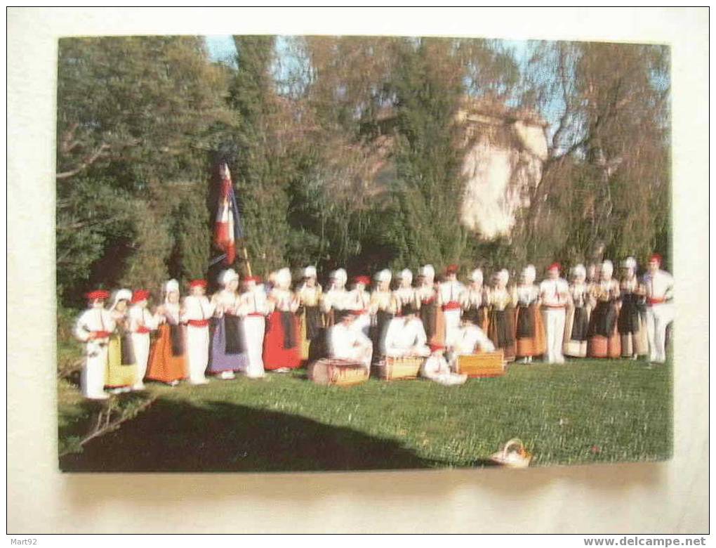 84 CARPENTRAS LA RUCHE CARPENTRASSIENNE - Carpentras