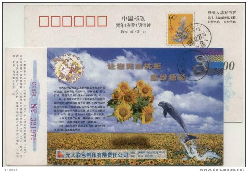 China 2000 Guangda Colour Print Works Advertising Postal Stationery Card Jumping Dolphin - Dolphins
