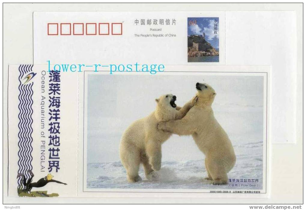 China 2005 Penglai Ocean Aquarium Advertising Postal Stationery Card Arctic Animal Polar Bear - Ours