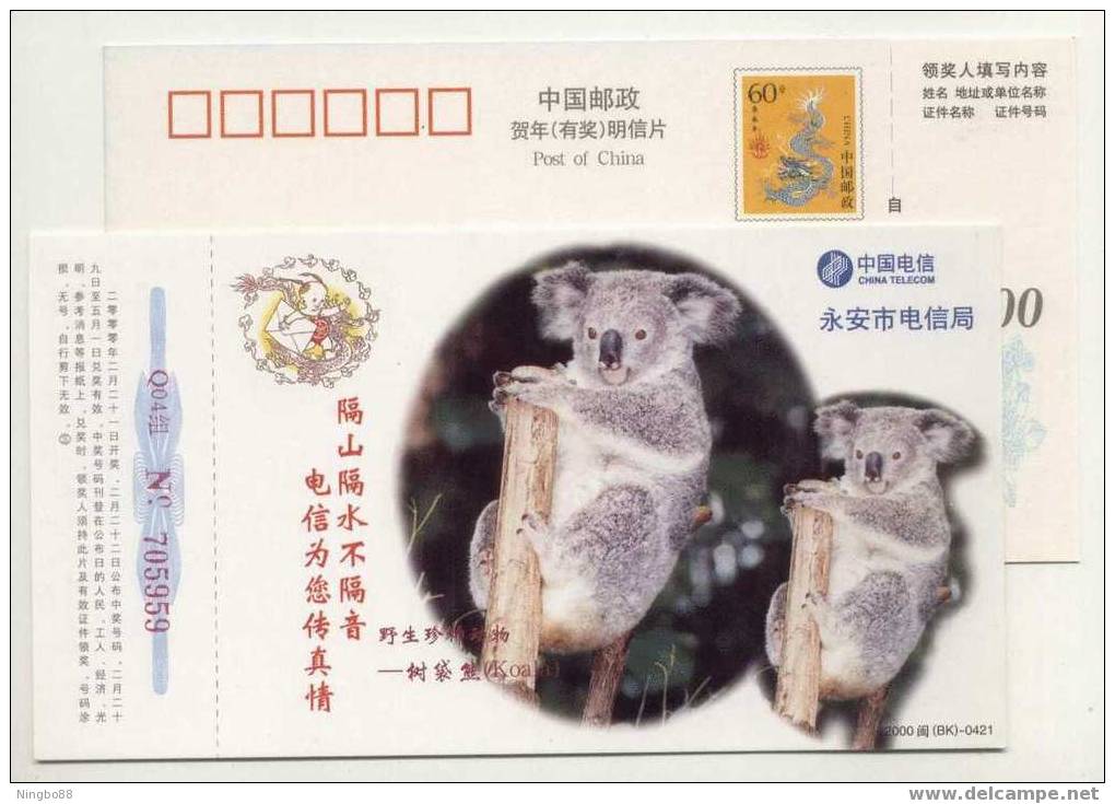 China 2000 Pre-stamped Card Protect Rare Wildlife Animal Koala Bear - Ours