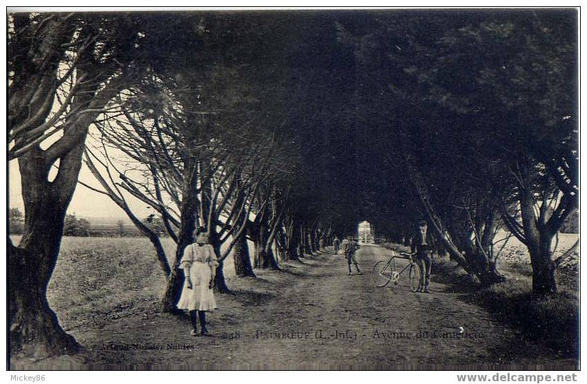 Paimboeuf--Avenue Du Cimetière(anmée,cycliste) N°248 Par Artaud-Nozais--belle Carte-- - Paimboeuf