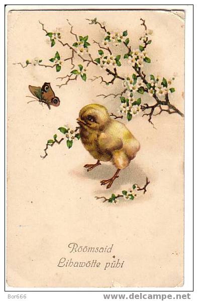 GOOD OLD COLOR POSTCARD - CHICKEN & BUTTERFLY - Farfalle