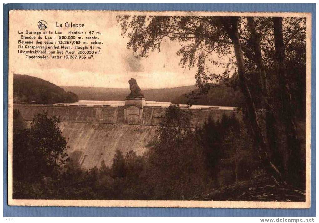 * La Gileppe * Le Barrage Et Le Lac, Stuwdam, Lion, Leeuw, Etendue Du Lac - Gileppe (Stuwdam)