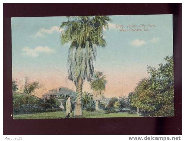 006338 Palms City Park New Orleans  édit.acmegraph N°4976 Couleur - New Orleans