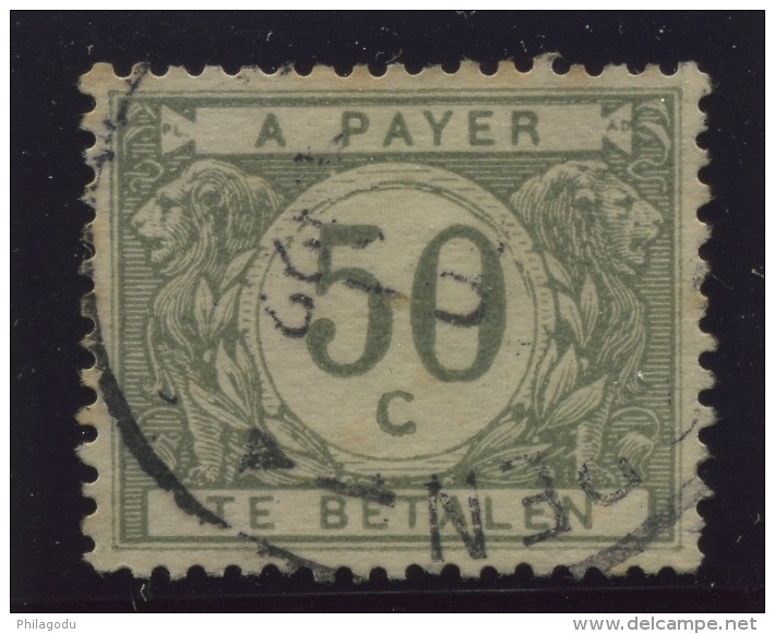 Belgique 1919, Variété  Taxe N° 31 Ø  Cadre Cercle Doublé - Sonstige & Ohne Zuordnung